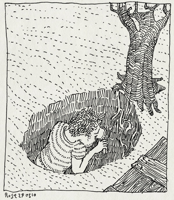 tekening 1108, boom, hut, insecten, insects, investigator, kuil, magnifying glass, michiel van de pol, onderzoeken, roots, terug naar johan, tree, vergrootglas, wortels