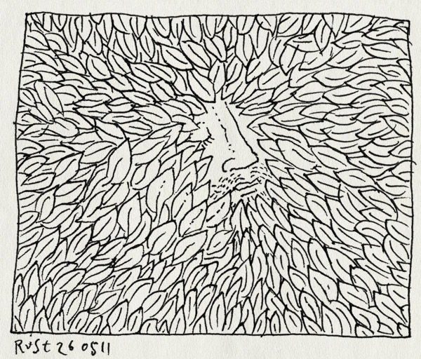 tekening 1468, bladeren, bos, patroon, verstopt