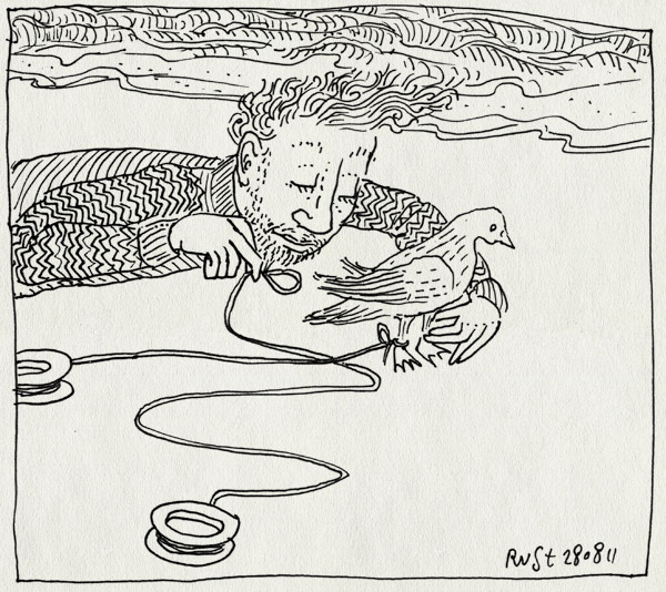 tekening 1562, duif, meeuw, strand, texel, vakantie, vlieger, vogel