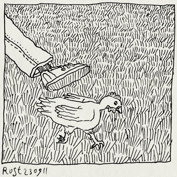 tekening 1583, gras, kip, pluk, struikelen