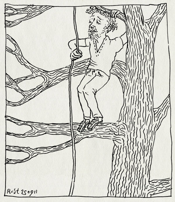 tekening 1585, boom, hoog, klimmen, liaan, touw