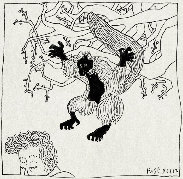 tekening 1760, artis, lemureneiland, lemuur, maki, nek, springen, tam