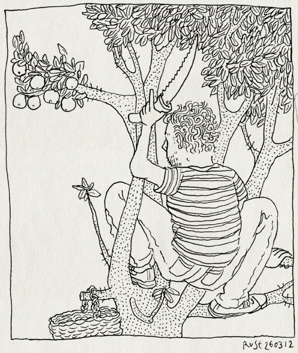 tekening 1767, handig, la cenicera, mandje, oogsten, sinaasappelboom, snoeien, zaag