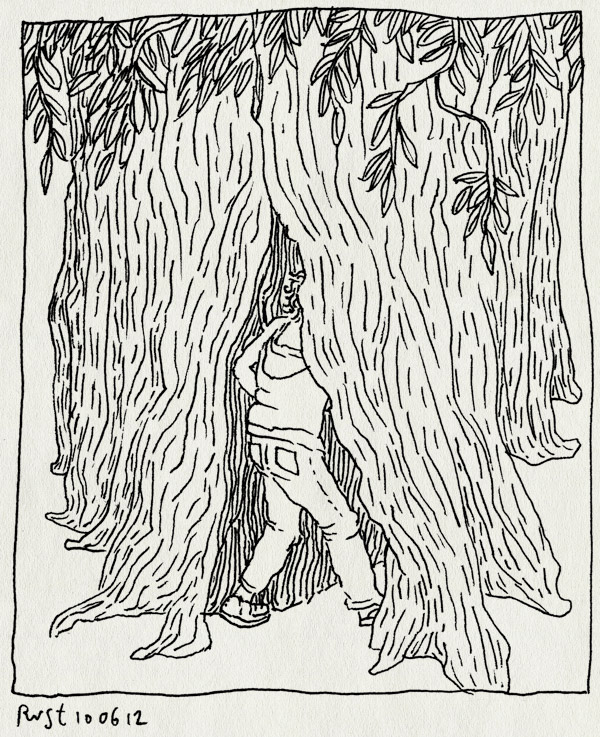 tekening 1843, beatrixboom, binnengaan, boom, hol, huis, in, lievelingsboom