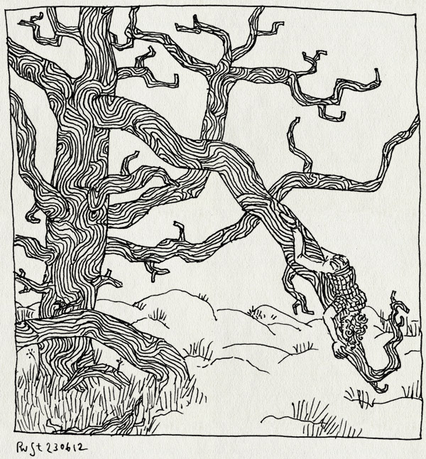 tekening 1856, boom, dood, doorbuigen, heide, otterlo, veluwe