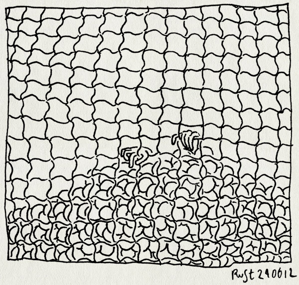 tekening 1857, ballenbak, gevangen, handen, hek, kooi, raster, tunfun