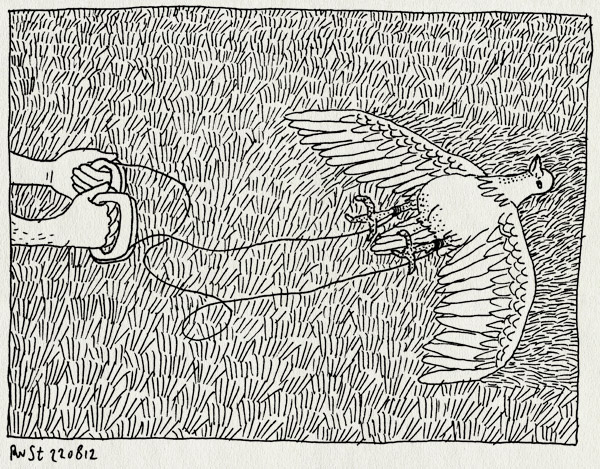 tekening 1916, dood, oplaten, strand, texel, touwtjes, vakantie2012, vlieger, vogelvlieger, zeemeeuw