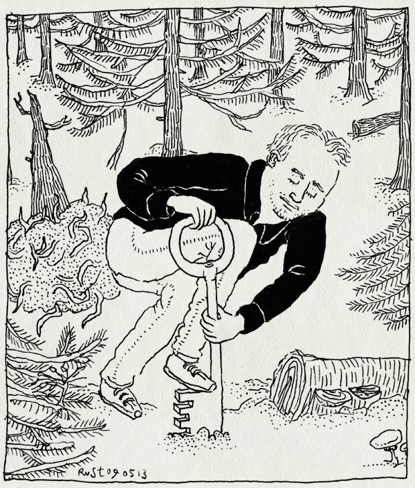 tekening 2176, bos, geochaching, graven, joost, naaldbomen, schat, schatgraven, sleutel, sleutels, veluwe