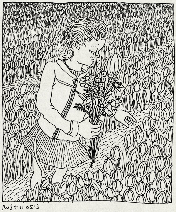 tekening 2178, alwine, bloemen, bloemenveld, boeket, plukken, tulpen, veld, veldboeket, westeremden