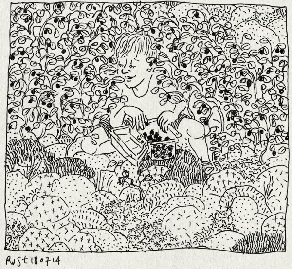 tekening 2611, bakje, blåbär, blauwe bessen, bos, eten, lievelings, midas, moeras, mos, plukken, supermarkt, vakantie, vakantie2014, värmland, zweden