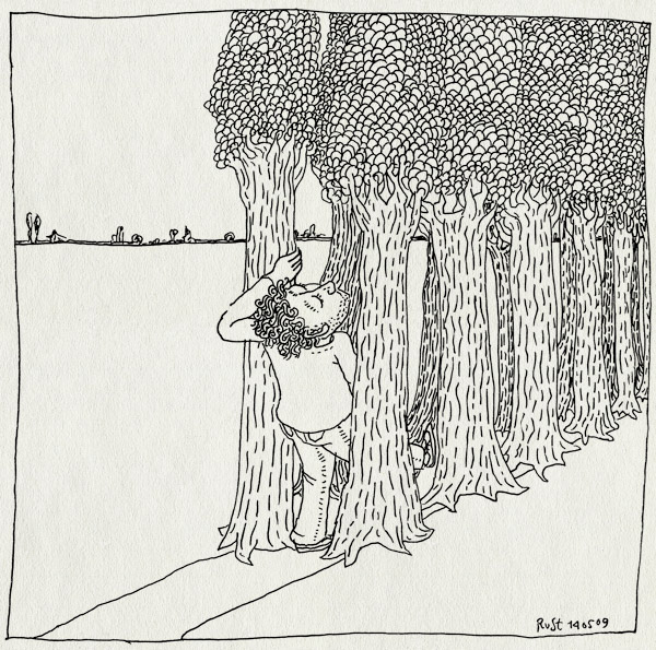 tekening 728, almere, bomen, pad, passage, path, road, trees, weg