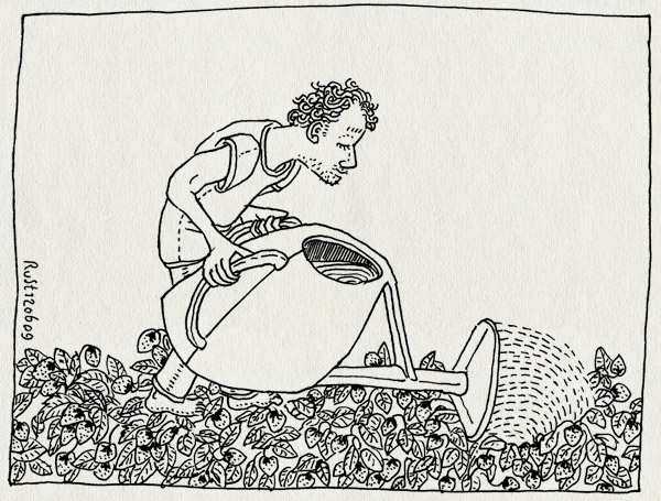 tekening 757, aardbeien, gieter, sloten, strawberries, tuin, tuinenpark, water