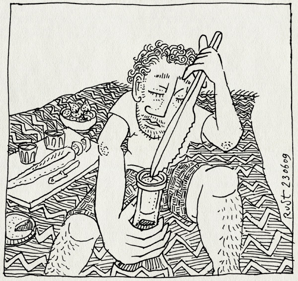 tekening 768, amstelpark, bottle, fles, kleed, kurk, kurkentrekker, park, picknick, vergeten, wijn