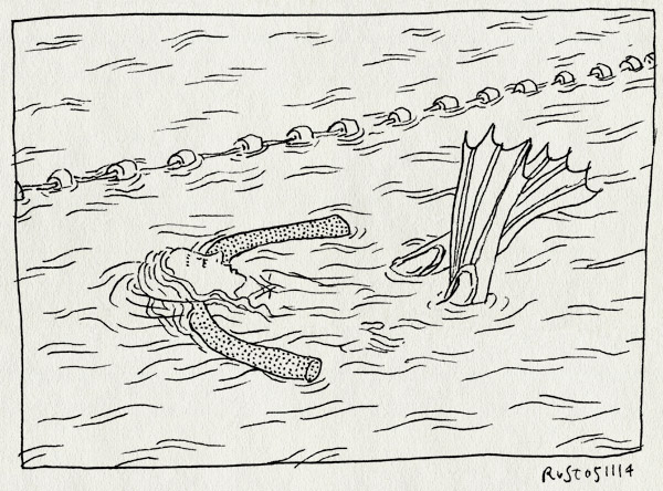 tekening 2721, alwine, drijver, flippers, kikkervoetjes, mirandabad, rugslag, water, worst, zwemles, zwemmen, zwemvliezen