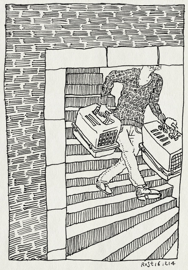 tekening 2762, katten, roosmarijn, trap, verhuizen