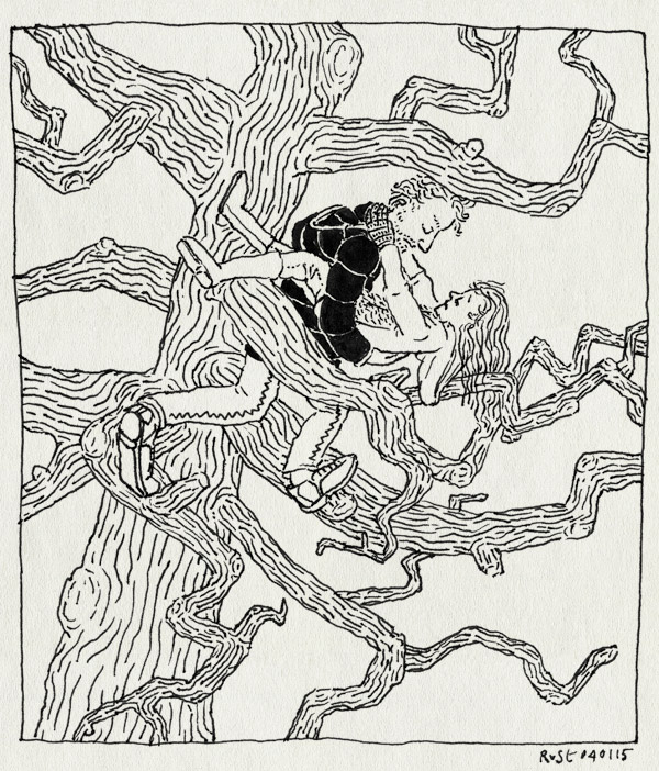 tekening 2781, alwine, boom, boomklimmen, klimboom, klimmen, redding, te hoog, vondelpark