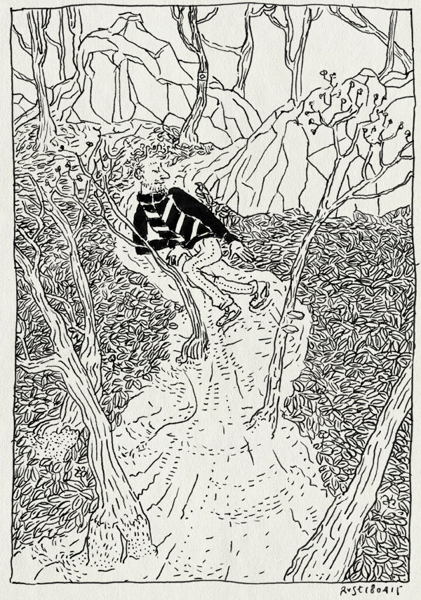 tekening 2885, ardennen, bos, boshut, dalen, evan, hastiere, jurgen, remboom, rotsen, steil, wallonie, weekend