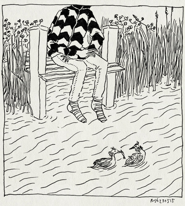 tekening 2920, amstel, futen, fuut, kade, kleintje, pulletje, rivier, sokken, steiger, vis, visje, voeren, water