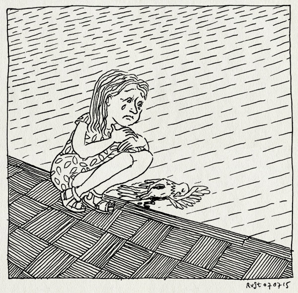 tekening 2965, aangereden, alwine, dood, duif, huilen, maasplein, maasstraat, stoep, straat, verdriet, vogel