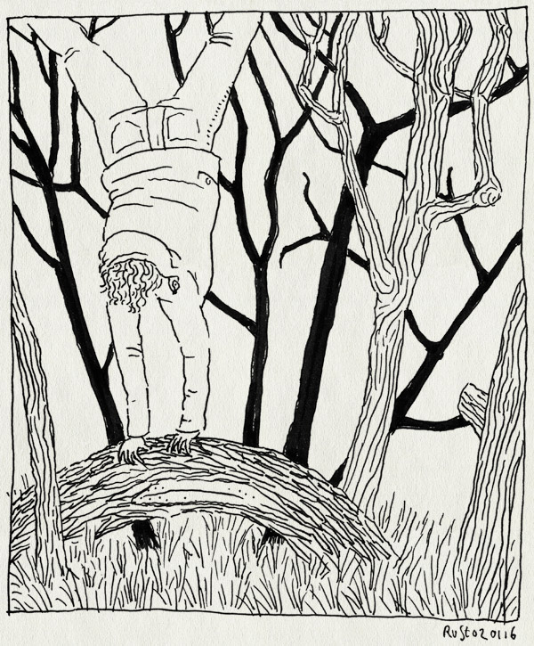 tekening 3144, bomen, bos, castricum, handstand, mama, ondersteboven