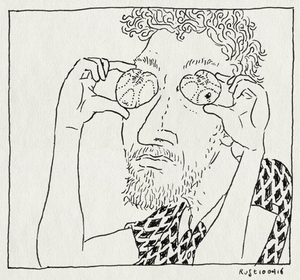 tekening 3243, castricum, ogen, skelet, strand, strandvondst, zeeklit, zeester