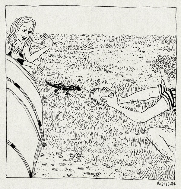 tekening 3381, alwine, camping, frankrijk, kamperen, la borio de roque, languedoc, potje, salamander, tent, vakantie, vangen, vuursalamander